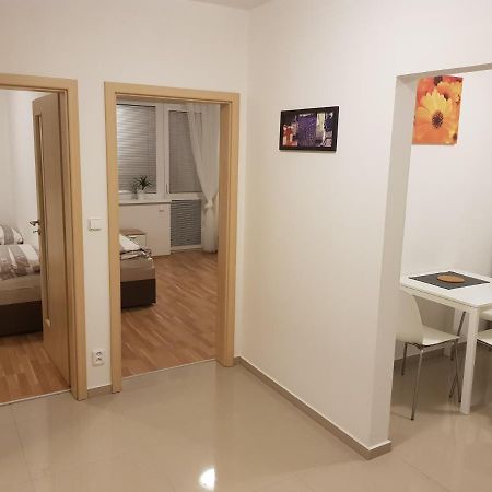 Newly Built Apartment 4 With Balcony Near Center Бърно Екстериор снимка