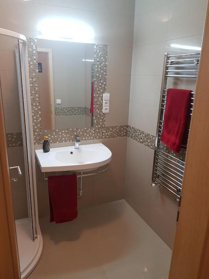 Newly Built Apartment 4 With Balcony Near Center Бърно Екстериор снимка